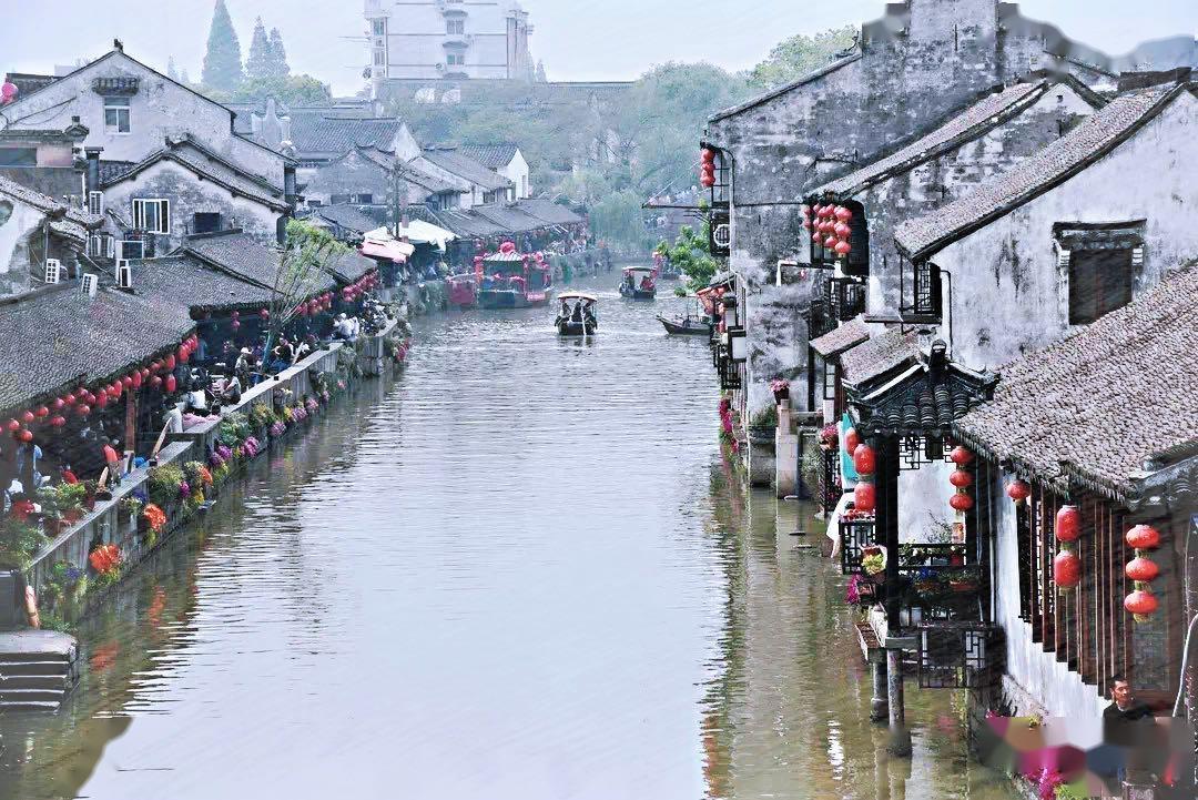 《猫和老鼠》手游中的雪梨这个角色怎样才能玩好？有哪些注意事项？游戏画面